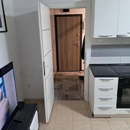 Apartment Stan Lojkic *